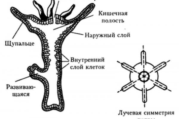 Кракен сайт вход