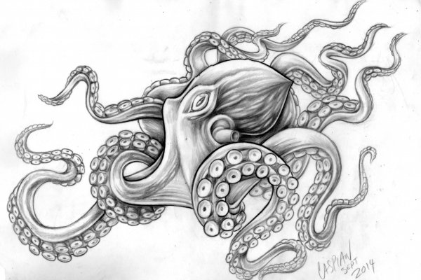 Kraken